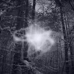 Zjawiska paranormalne
