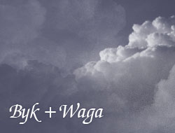 Byk i Waga