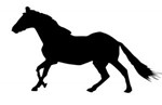 Galopować