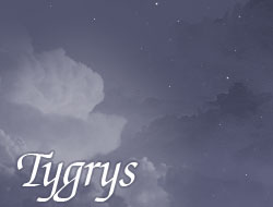 Tygrys